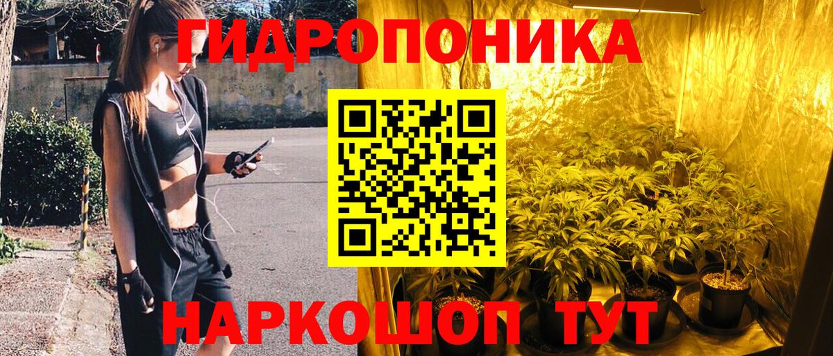 Канабис планчик  Канабис семена  Лесозаводск  МАРИХУАНА индика  Вход с VPN 